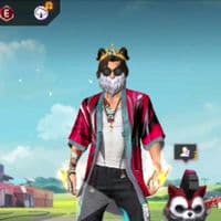 TikTok Account - frankfeid513