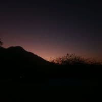 TikTok Account - maritzapicaz