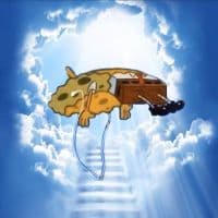 TikTok Account - lyrickeo