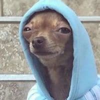 TikTok Account - schmoobin13