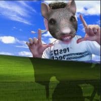 TikTok Account - mc_rataoooo