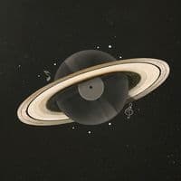 TikTok Account - rolitasesther