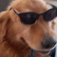 TikTok Account - beto_funado24