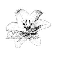 TikTok Account - goffrt