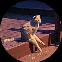 TikTok Account - victoria.frame