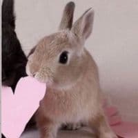 TikTok Account - not.a.stranger11