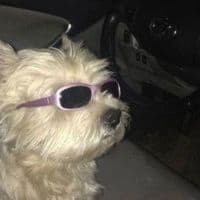 TikTok Account - polski_rap07