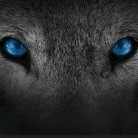 TikTok Account - dondil0