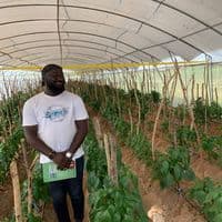 TikTok Account - stephanesucre