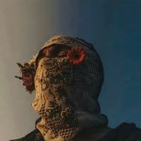 TikTok Account - hitcycle.me