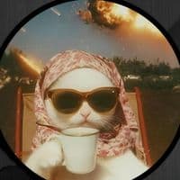 TikTok Account - larrylonelee