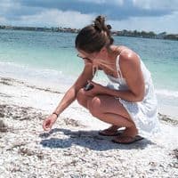 TikTok Account - sincerelyseashell