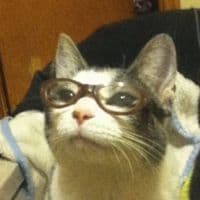 TikTok Account - actuallytaee