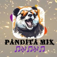 TikTok Account - panditaa_romantico