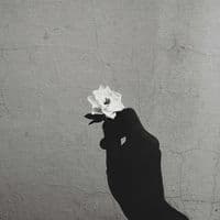 TikTok Account - klxaeri