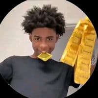 TikTok Account - narge2.0