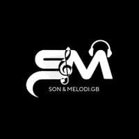 TikTok Account - sonmelodi.gb