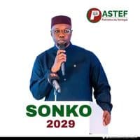 TikTok Account - fatoudioko83gmail