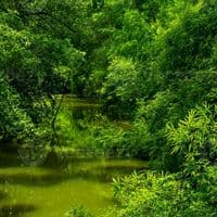 TikTok Account - casamancecixoll