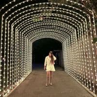 TikTok Account - _s_m95_