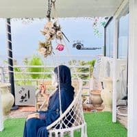 TikTok Account - ay_albakush