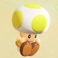 TikTok Account - ytoadlol