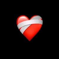 TikTok Account - canciionessparainsta_