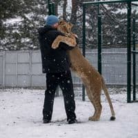 TikTok Account - alexanderkremen5