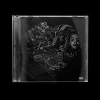 TikTok Account - pologupdates