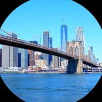 TikTok Account - songs8xl333