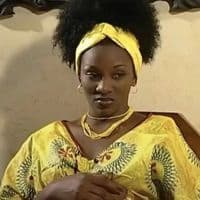 TikTok Account - willoostar