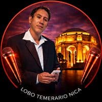 TikTok Account - temerarionica