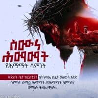 TikTok Account - wedi..mazu