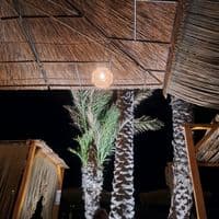 TikTok Account - siaaaaaa214