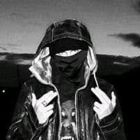 TikTok Account - belingham.pro