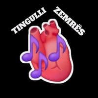 TikTok Account - tingulli.zemres