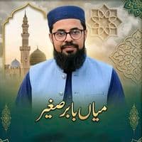 TikTok Account - babar_saghir__1