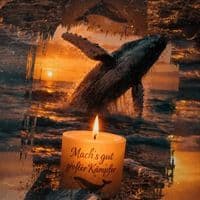 TikTok Account - schwarzerengel1970