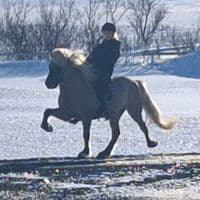 TikTok Account - siilfrii