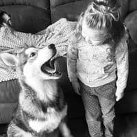 TikTok Account - nanatireland