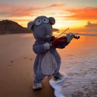 TikTok Account - bigbackedrats