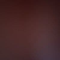 TikTok Account - leabelge_