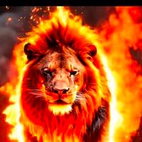 TikTok Account - s_e_k_o_turkish