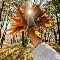 TikTok Account - stellabella75