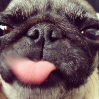 TikTok Account - seecret80