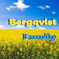 TikTok Account - bergqvistfamily
