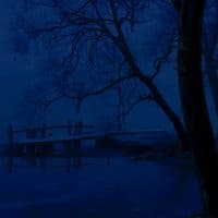 TikTok Account - coldvisions_1