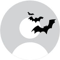 TikTok Account - whoistristxn