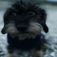 TikTok Account - angelooooooo_.p