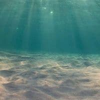 TikTok Account - mentesinquietas._